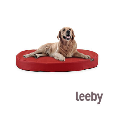 Leeby Colchoneta Impermeable y Desenfundable Roja para perros